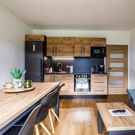 Apartment Simon - Horsky Bukova Hora - *